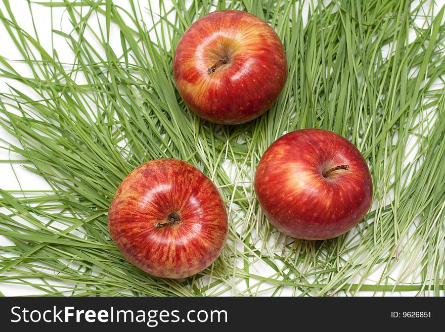 Three Red Apples, Green Herb