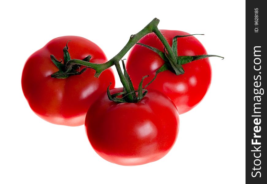 Juicy tomatoes isolated on white without shadows