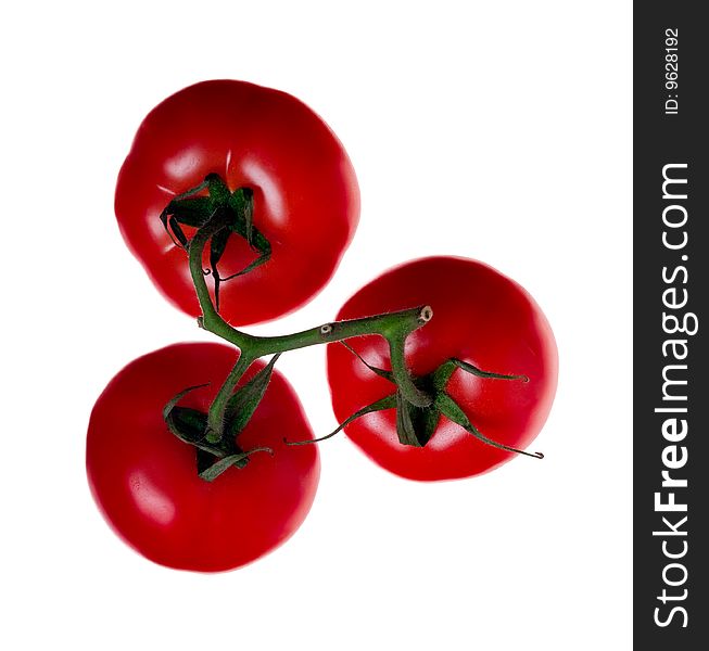 Juicy tomatoes isolated on white without shadows