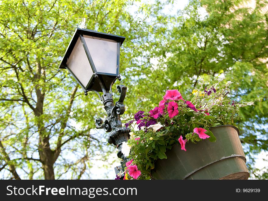 Street Lamp With Flowers