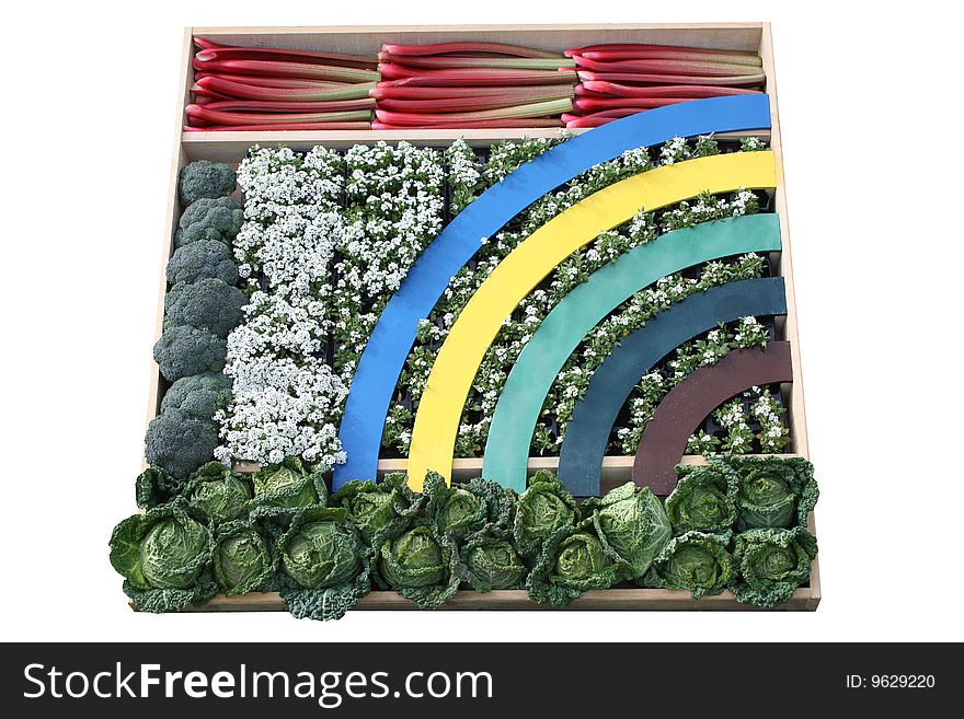 A Rainbow Box of Plants and Vegetables. A Rainbow Box of Plants and Vegetables.