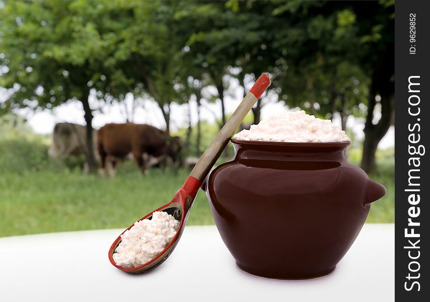 Homemade cottage cheese located outdoors with the farm view. Homemade cottage cheese located outdoors with the farm view
