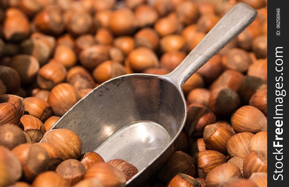 Nuts & Seeds, Nut, Hazelnut, Tree Nuts
