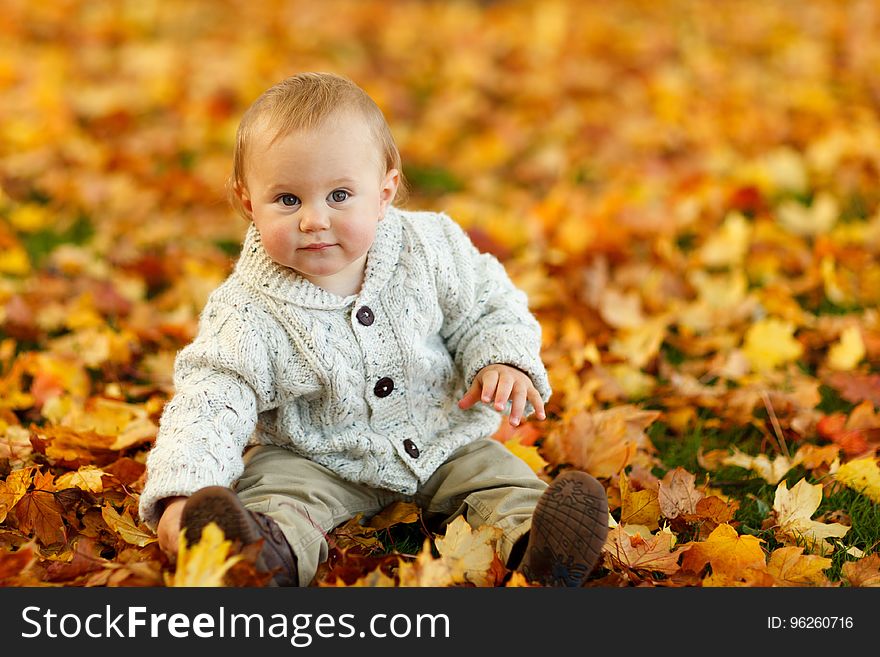 Leaf, Autumn, Child, Yellow
