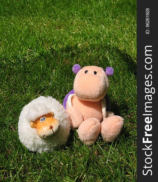 Stuffed Toy, Plush, Grass, Toy