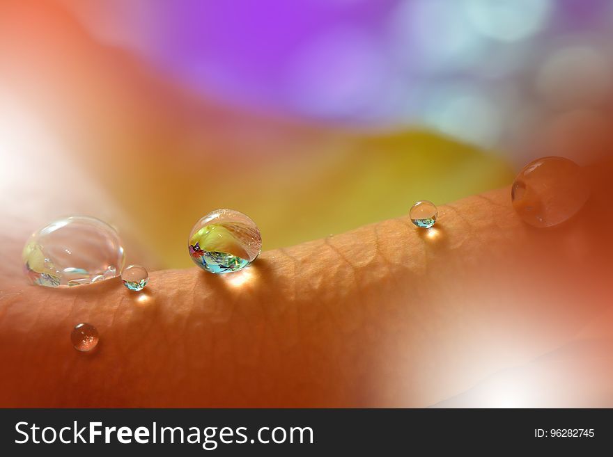 Conceptual Abstract macro photo with water drops.Transparent and clear water beads.Web banner.Beautiful Nature.Relaxation.