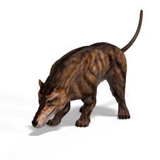Dangerous Dinosaur Andrewsarchus With Clipping Royalty Free Stock Photo Dangerous Dinosaur Andrewsarchus With Clipping Royalty Free Stock Photo