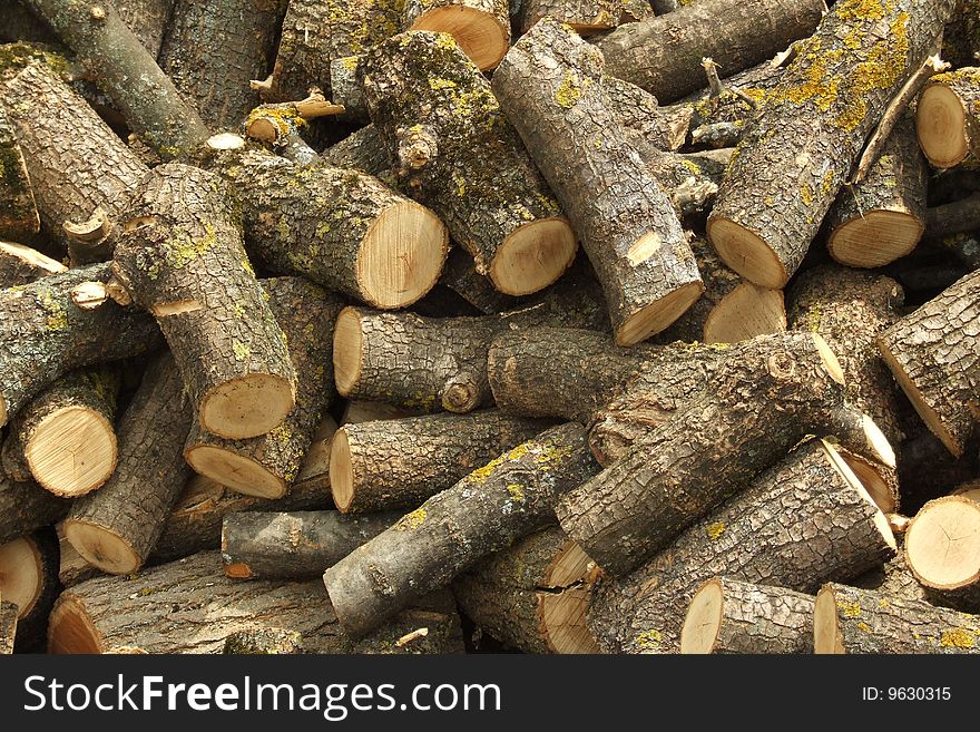 A bunch of pieces of wood - oak round logs.