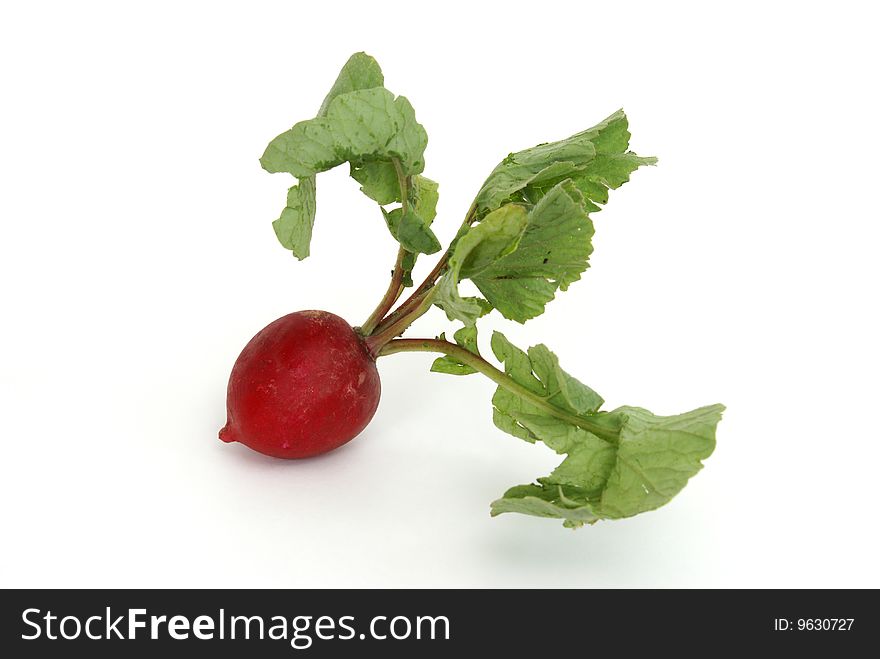 A fresh radish with leaves over a white background.