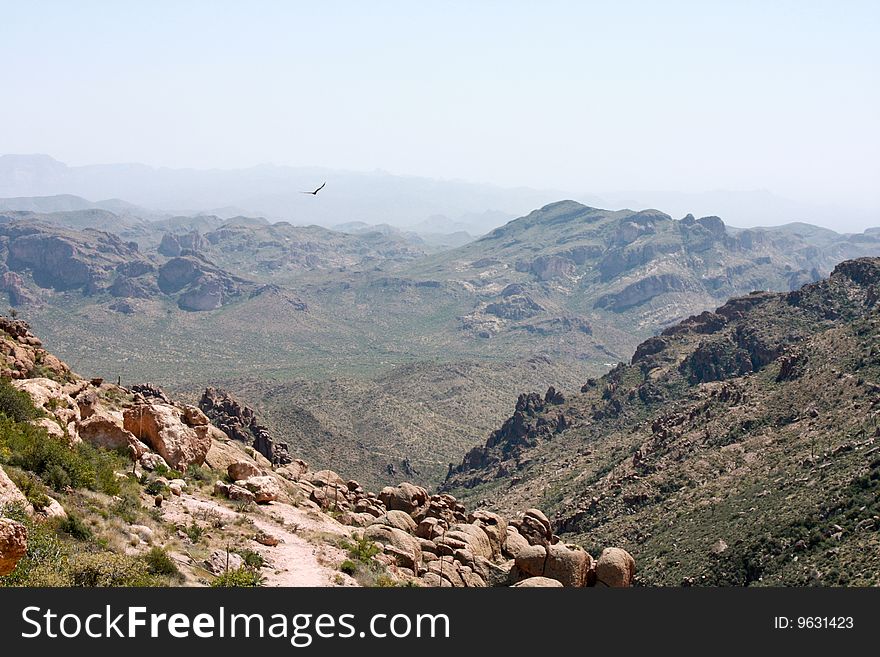 Hawk soaring over Arizona desert landscape. Hawk soaring over Arizona desert landscape