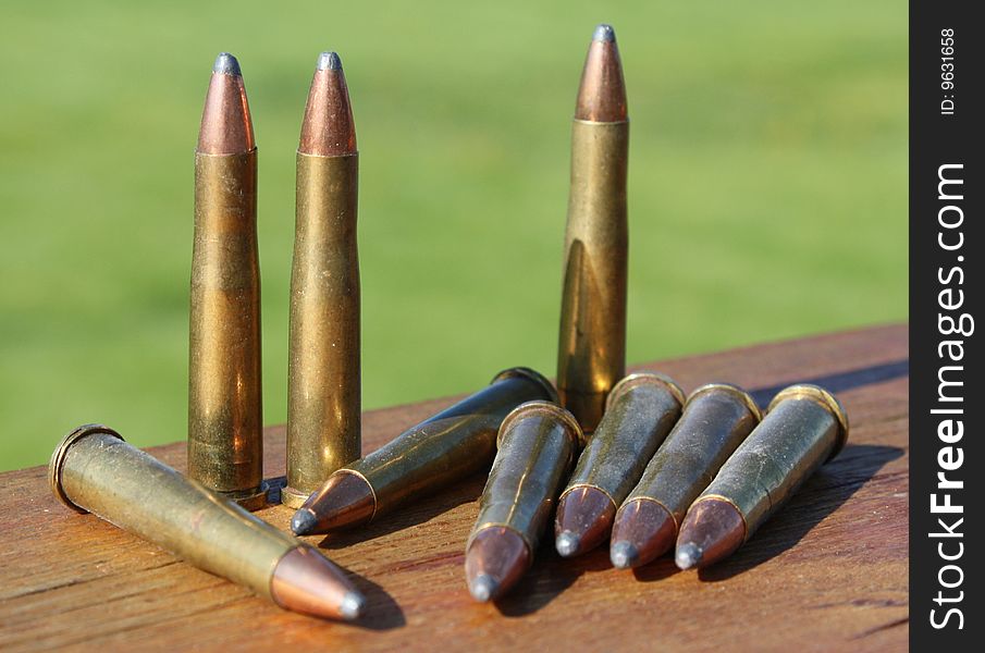 Several bullets resting on wood outside.