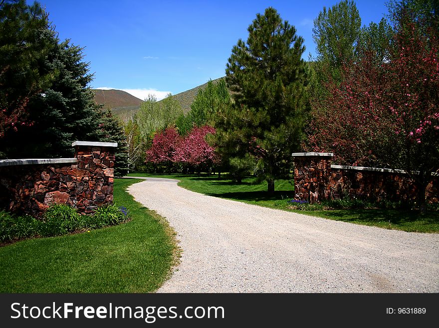 Driveway in spring bloom in Blaine County Idaho. Driveway in spring bloom in Blaine County Idaho
