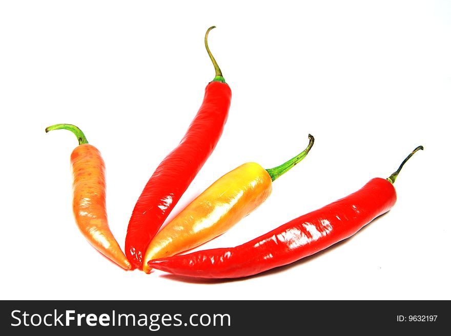 Red and orange chilies on white background