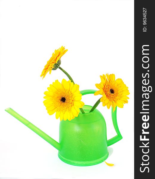 Green watering can with orange colours.Photo. Green watering can with orange colours.Photo