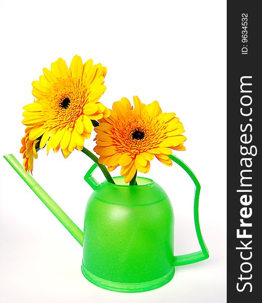 Green Watering Can With Orange Colours