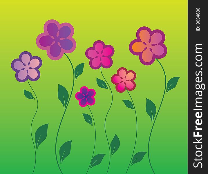 Flowers on a green background