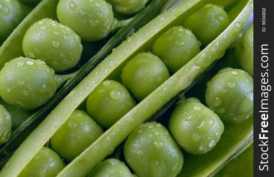 Green peas in pods with water drops