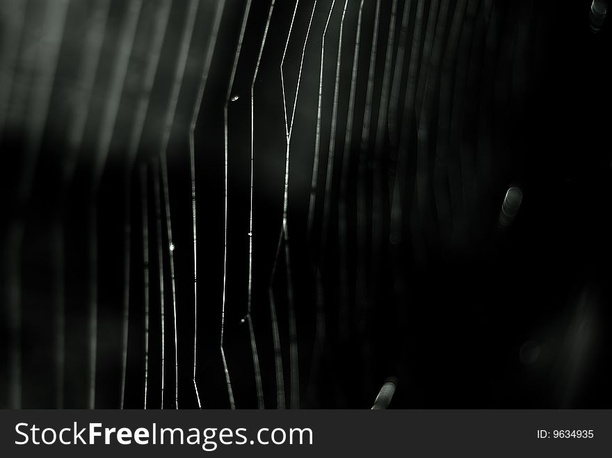 Cobweb isolated on black background