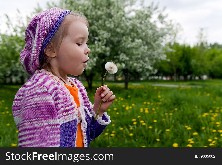 The Girl And A Dandelion