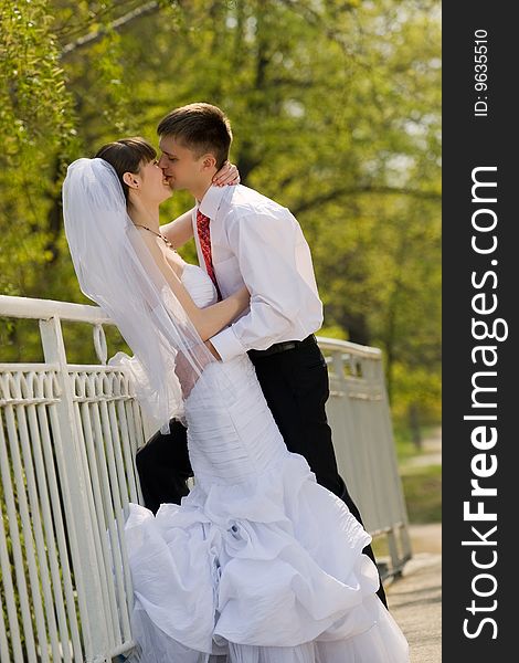 Colorful wedding shot of bride and groom kissing. Colorful wedding shot of bride and groom kissing