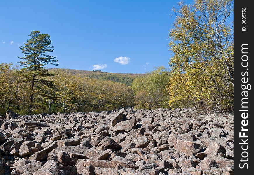 A landscape of autumn highland taiga. A landscape of autumn highland taiga.