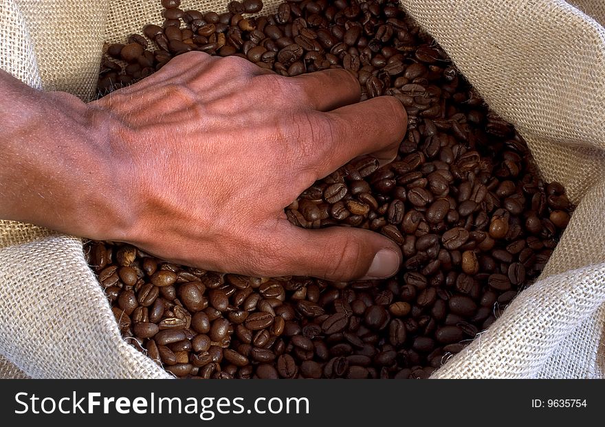 Hand takes coffeebeans out of the bag