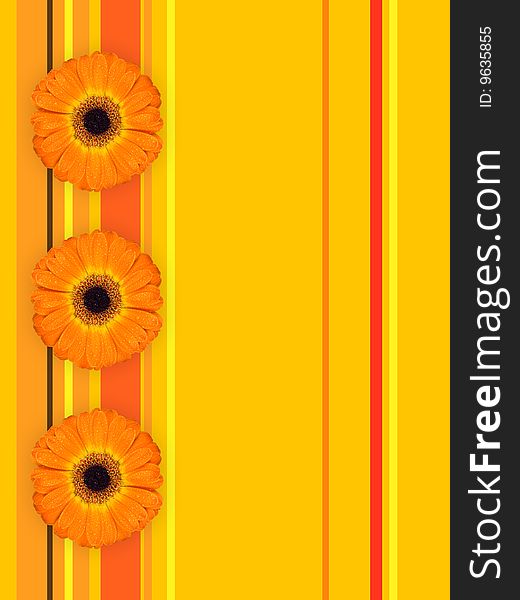 Three nice gerbera on illustrated background with stripes