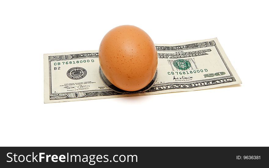 Brown egg on twenty dollar bill isolated. Brown egg on twenty dollar bill isolated