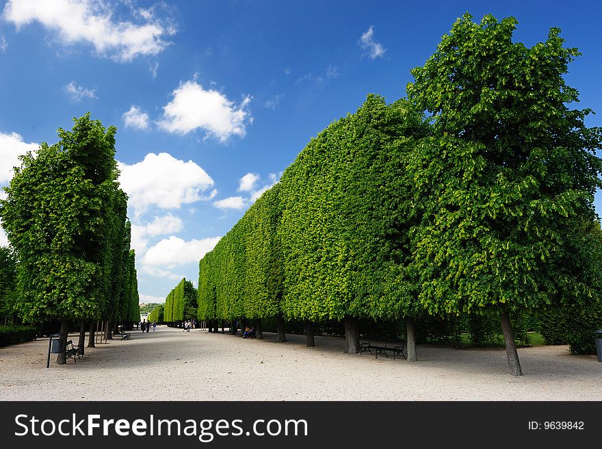 Garden of Schönbrunn Palace