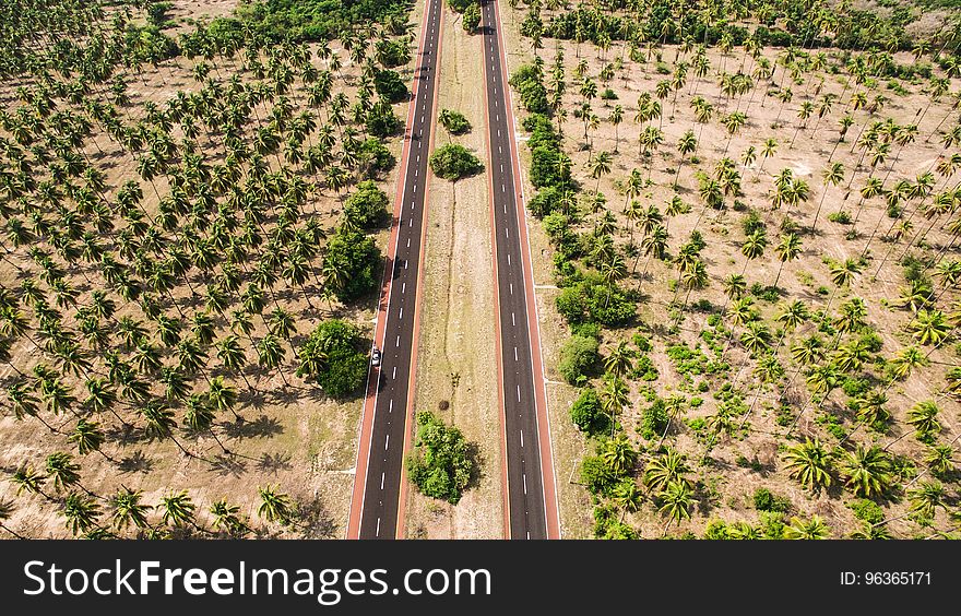 Aerial Photo of Two Gray Roads Surrounded by Trees