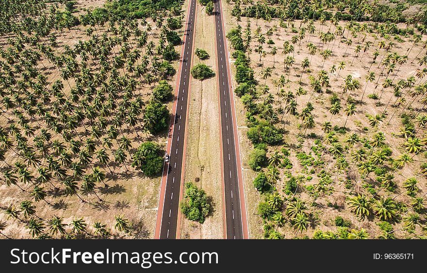 Aerial Photo Of Two Gray Roads Surrounded By Trees