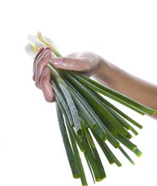 Bunch Of Green Onions In Hand Stock Photo Bunch Of Green Onions In Hand Stock Photo