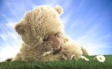 Teddy Bear Royalty Free Stock Image Teddy Bear Royalty Free Stock Image
