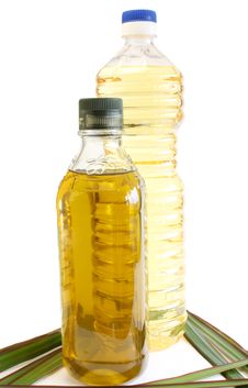 Oil Olive And Sunflower Royalty Free Stock Images Oil Olive And Sunflower Royalty Free Stock Images