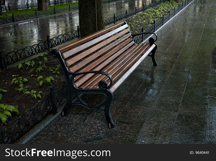 Wet park bench after rain