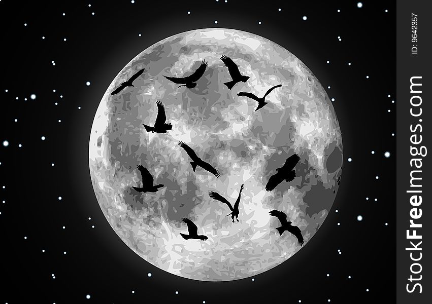 Vector Moon Illustration And Birds