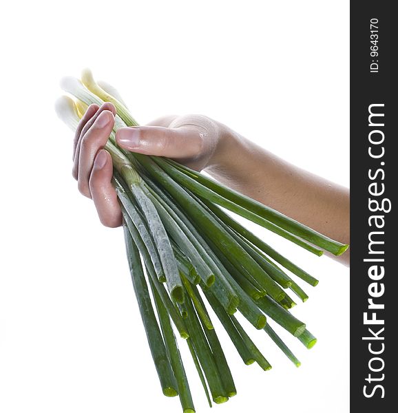 Bunch of green onions in hand