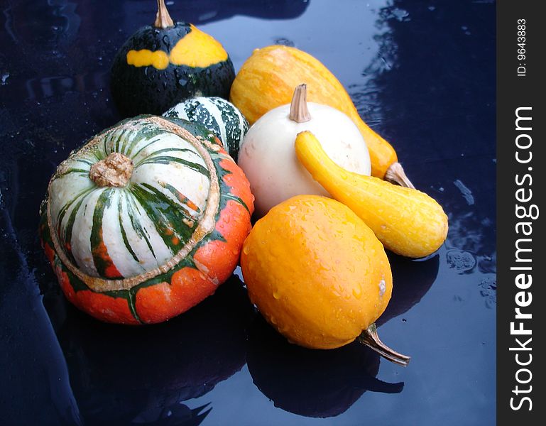 Many gourds on a wet table