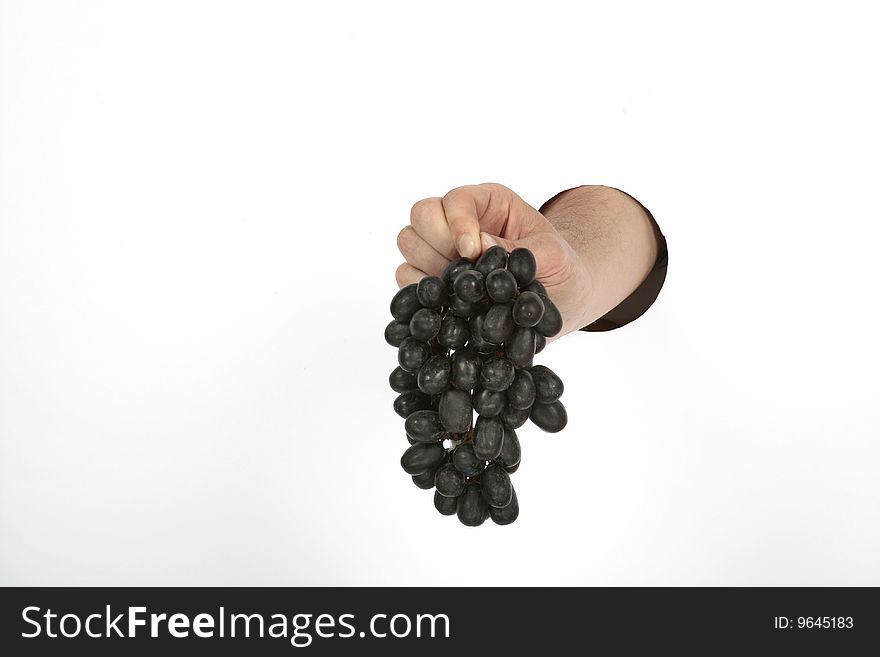 Hand is holding  dark grapes. Hand is holding  dark grapes