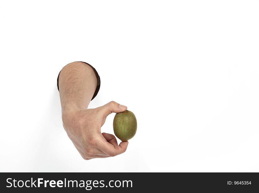 Small kiwi in man's hand. Small kiwi in man's hand