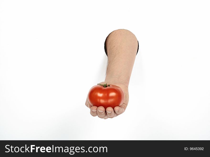 Red juicy tomato in hand