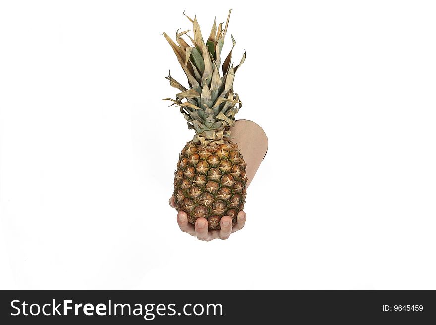 Hand is holding pine apple