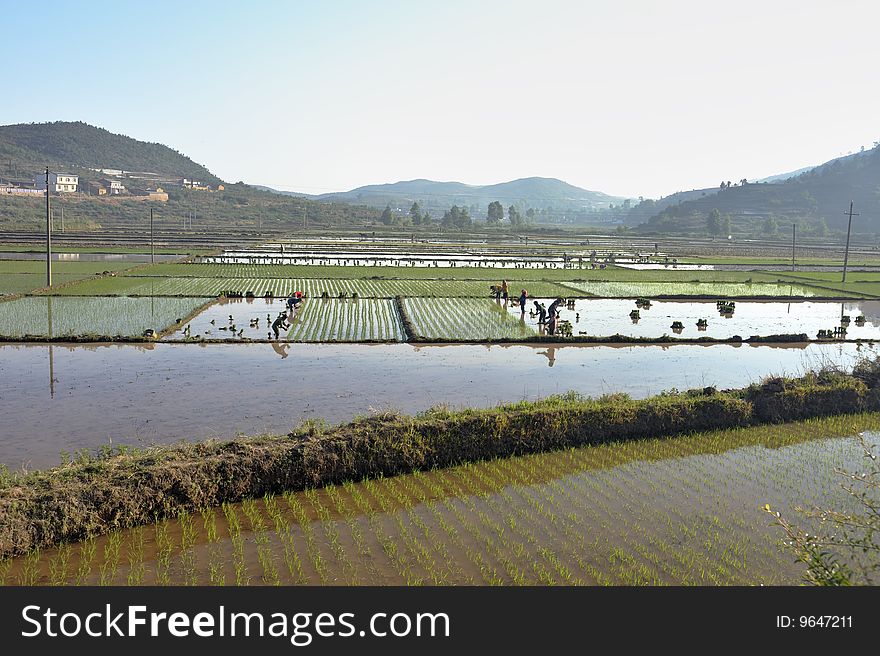 China Southern mountain scenery of the rural labor in the spring. China Southern mountain scenery of the rural labor in the spring