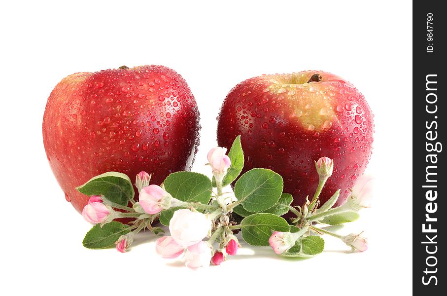 Apples and flowers on a white background, it is isolated.