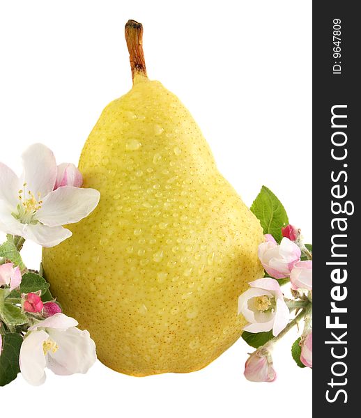 Pear in drops, on a white background, it is isolated.