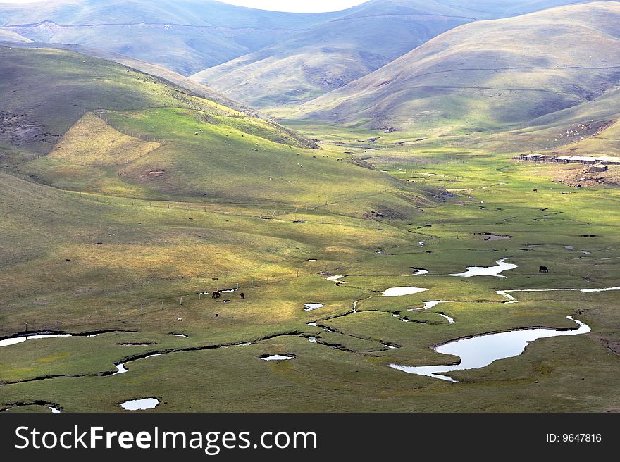 The scenery of plateau alpine meadow ranch