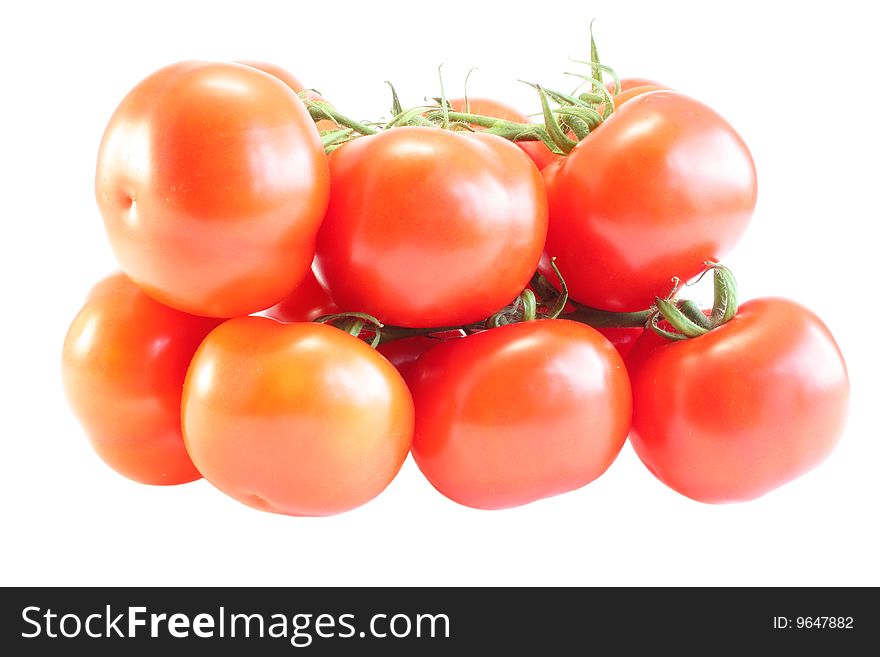 Tomatoes with a branch on a white background