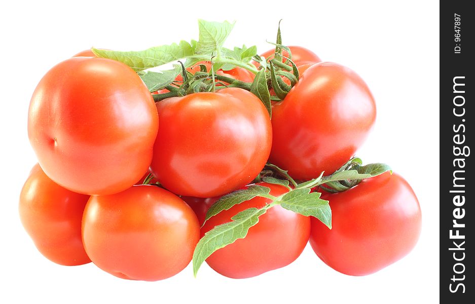 Tomatoes with a branch on a white background