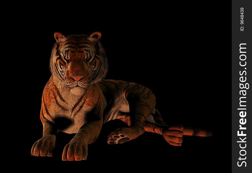 A picture of a tiger lying on the floor, isolated on black background. A picture of a tiger lying on the floor, isolated on black background.