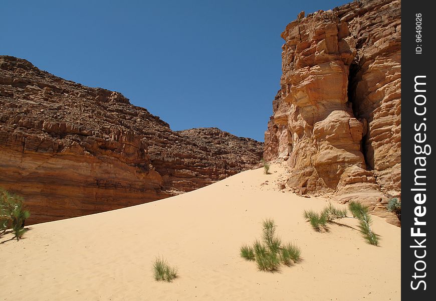 Red canyons of the desert